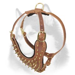 Siberian Husky leather dog harness with brass fittings