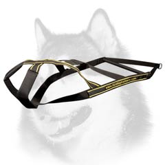 Siberian Husky nylon dog harness for weight pulling