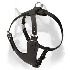 siberian husky leather harness classical style