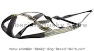 Dog weight pulling harness for Alaskan Malamute