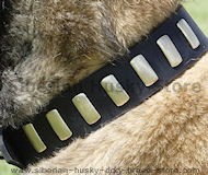 Gorgeous Wide Leather Dog Collar With Plates for Husky