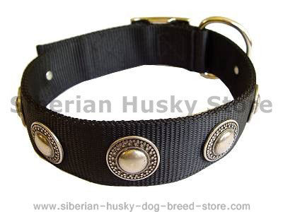 Nylon Dog  collar with silver conchos for Siberian husky