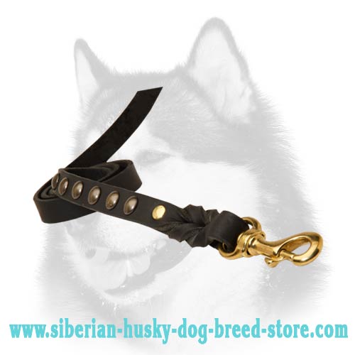 Siberian Husky leather dog leash equipped with strong snap hook