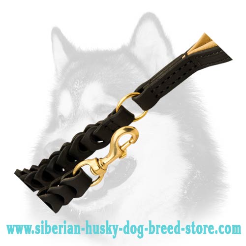 Siberian Husky leather dog leash with brass fittings