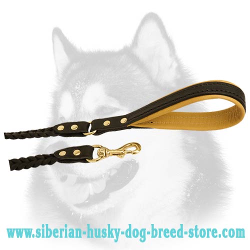 Siberian Husky leather dog leash with brass hardware