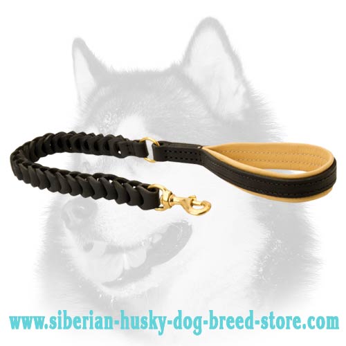 Siberian Husky leather leash non pulling