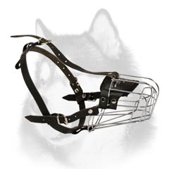 Adjustable wire cage Husky muzzle