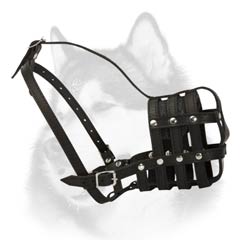 Safe-walking leather muzzle