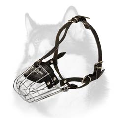 Husky wire dog muzzle