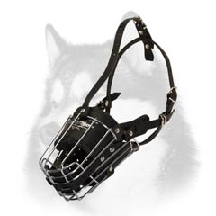 Husky strong cage-like muzzle