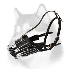 Leather padded metal muzzle for Husky