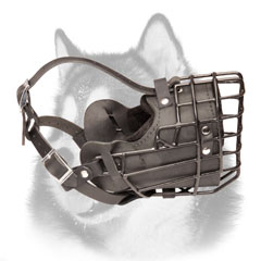 Siberian Husky wire cage dog muzzle for winter
