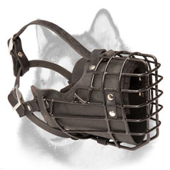 Winter wire cage dog muzzle with rubber covering