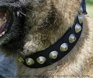 Gorgeous Wide Nylon Dog Collar With Nickle Pyramids