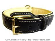 Royal Nappa Padded Hand Made Leather Dog Collar - code: C443 Royal Nappa Padded Hand Made Leather Dog Collar - code: C443