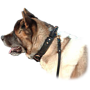 Siberian Husky leather collars, training dog collars, evereday collars, best collars, 2 ply collars for small, medium and full grown Siberian Husky Siberian Husky leather collars, training dog collars, evereday collars, best collars, 2 ply collars for small,medium and full grown Siberian Husky