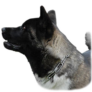 Prong Collars, Pinch Collars, Herm Sprenger Collars, Fur Save collars, Curogan dog collars, Neck Teck Prong Collars, Chain big dog collars, STEEL CHROMIUM PLATED Collars, Stainless Steel Collars Prong Collars, Pinch Collars, Herm Sprenger Collars, Fur Save collars, Curogan dog collars, Neck Teck Prong Collars, Chain big dog collars, STEEL CHROMIUM PLATED Collars, Stainless Steel Collars