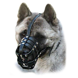 Siberian Husky dog muzzles, Siberian Husky leather dog muzzle, Siberian Husky agitation muzzle , Siberian Husky wire basket dog muzzles