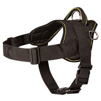Siberian Husky Nylon Harness for Everyday