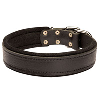 Felt Padded Leather Collar for Siberian Husky