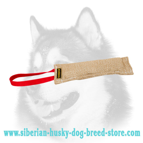 Jute puppy bite tug for Siberian Husky