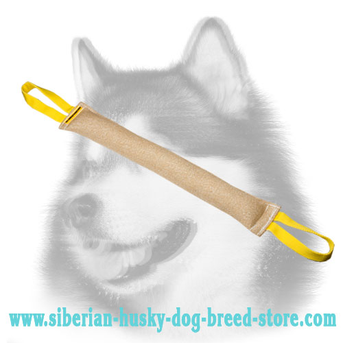 Jute bite tug for Siberian Husky grip developing