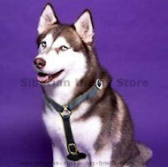 Luxury handcrafted dog harness made To For Siberian Husky