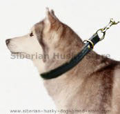 Siberian Husky collar,leather dog collar,nylon dog collar,walking dog collar,tracking dog collars