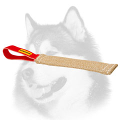 Siberian Husky puppy     professional training tug with one handle