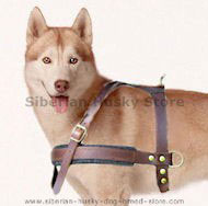 Siberian Husky Tracking/Pulling Leather Dog Harness