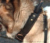 Siberian Husky collar,leather dog collar,nylon dog collar,walking dog collar,tracking dog collars