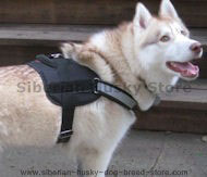 Reflective NYLON DOG HARNESS,Harness for Siberian Husky Reflective NYLON DOG HARNESS,Harness for Siberian Husky