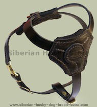 Small Leather Dog Harness for Siberian Husky puppy Small Leather Dog Harness for Siberian Husky puppy