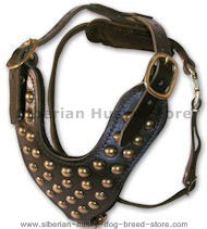 Stud Dog Harness for Siberian Husky -2 ply leather HARNESS Stud Dog Harness for Siberian Husky -2 ply leather HARNESS