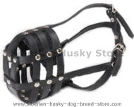 Everyday Light Weight Ventilation Siberian Husky muzzle Everyday Light Weight Ventilation Siberian Husky muzzle