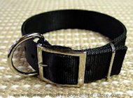 Akita Tan Leather Dog Collar & Silver Plated Circles Blue Stones Akita Tan Leather Dog Collar & Silver Plated Circles Blue Stones