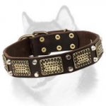 Stylish Leather Dog Collar for Siberian Husky with Awesome Adornment