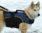 Nylon Vest Harness with Handle for Siberian Husky