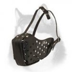 Well Ventilated Training/Walking Muzzle for Siberian Husky