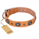 "Twinkle Twinkle" FDT Artisan Incredible Studded Tan Leather Siberian Husky Collar