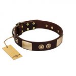 "Sense of Freedom" FDT Artisan Brown Leather Siberian Husky Collar with Old Bronze-Plated Studs and Plates