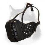 Agitation Leather Siberian Husky Muzzle