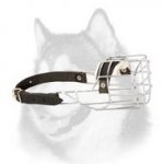 'The Silencer' Perfect Ventilation Cage Style Metal Muzzle for Siberian Husky