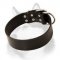 Premium 2 inch Wide Leather Collar for Siberian Husky