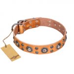 'Extra Sparkle' FDT Artisan Handcrafted Siberian Husky Tan Leather Dog Collar
