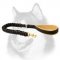 Siberian Husky Leather Dog Leash with Leather Links