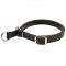 Adjustable Leather Slip Collar for Siberian Husky