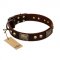 "Magic Amulet" Brown Leather Siberian Husky Collar with Skulls and Plates