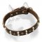 Leather Dog Collars with Studs and Pyramids for Siberian Husky