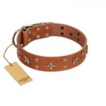 "Dreamy Gleam" FDT Artisan Tan Leather Siberian Husky Collar Adorned with Stars and Squares